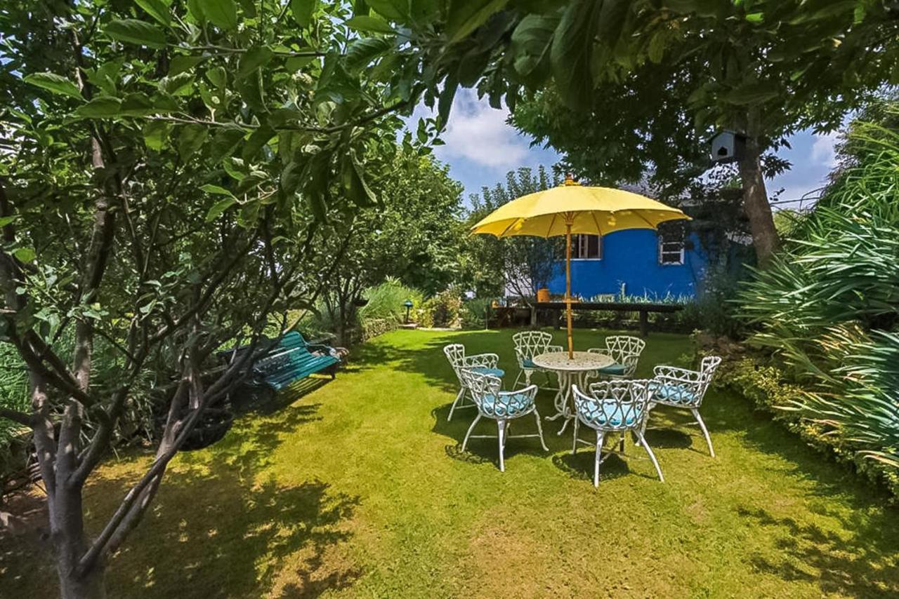Stayvista At Violet Hill With Bonfire, Gazebo & Hill View Shimla Ngoại thất bức ảnh