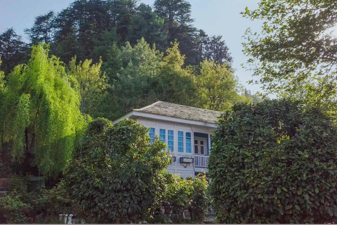 Stayvista At Violet Hill With Bonfire, Gazebo & Hill View Shimla Ngoại thất bức ảnh